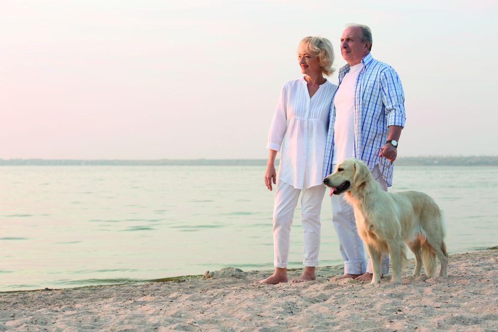 Älteres Ehepaar barfuß am Strand mit Golden Retriever