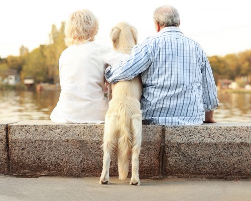 Ehepaar mit dem Rücken zum Betrachter am Flussufer sitzend. Golden Retriever in der Mitte, wird von beiden umarmt.