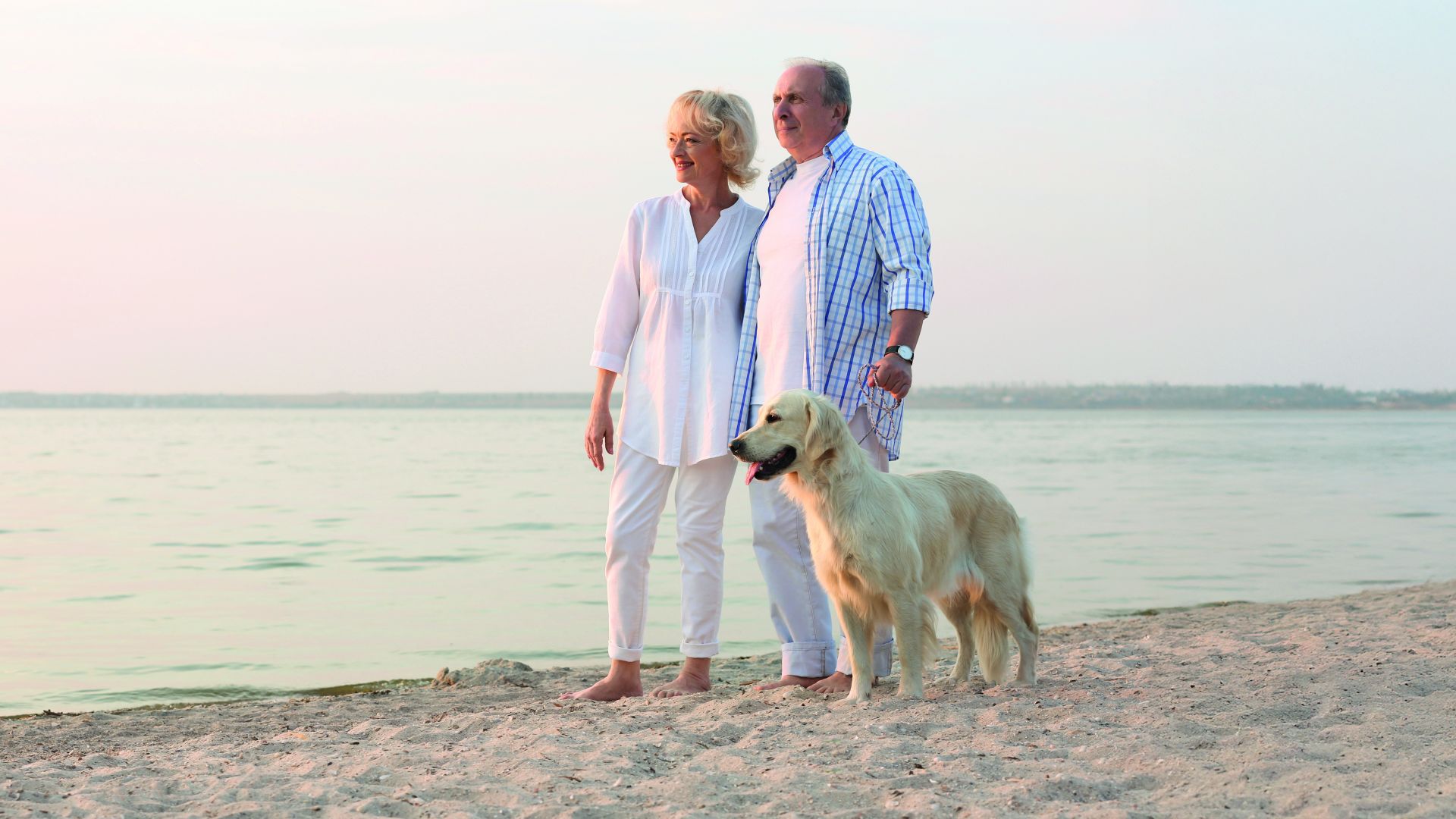 Älteres Ehepaar barfuß am Strand mit Golden Retriever